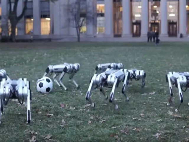 EEUU: presentan prototipos de perros robots ¿para qué servirán?