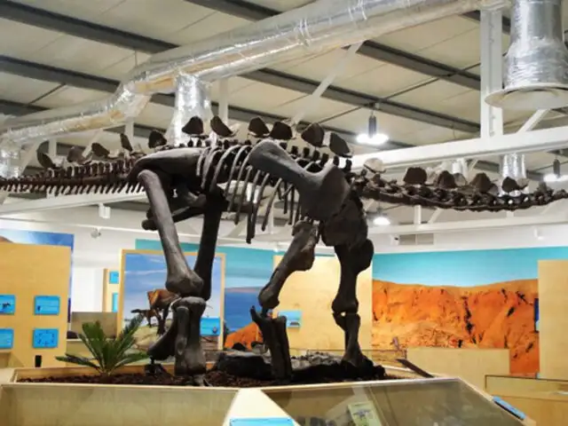 Portugal: hallan el estegosaurio más completo de Europa en un almacén