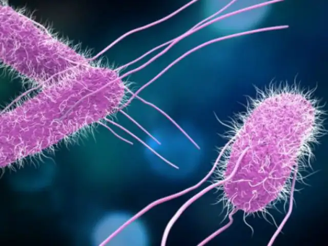 Las 8 bacterias más peligrosas del mundo: ¿cuáles son y por qué deberías preocuparte?