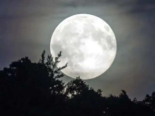 Ciencia revela que la Luna se aleja casi 4 centímetros de la Tierra al año