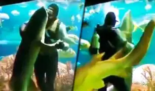 Buzo baila “vals” dentro de un acuario con un enorme tiburón