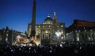 Vaticano: Plaza San Pedro luce inmenso árbol de 26 metros de altura
