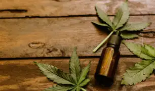 Aprueban protocolo para uso de cannabis medicinal