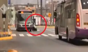 SJL: motociclista impactó contra bus del Corredor Morado