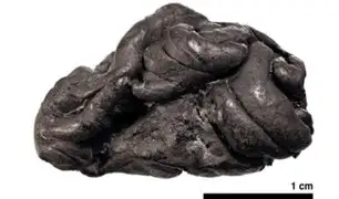 Científicos descubren en un “chicle” de hace 6 mil años, el ADN de la persona que lo mascaba