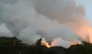 Chorrillos: reportan incendio forestal  en los pantanos de Villa