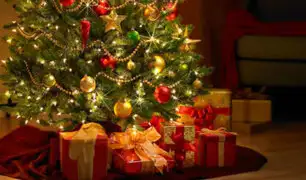 Conozca el origen y significado del árbol de Navidad
