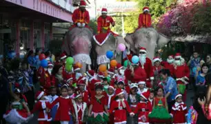 Navidad 2019: elefantes vestidos de Santa Claus visitaron colegio de Tailandia