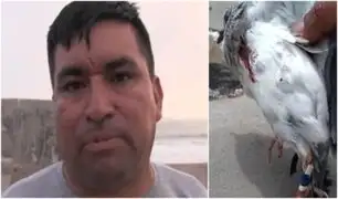 Chorrillos: hombre es amenazado de muerte por defender a una paloma de maltrato animal