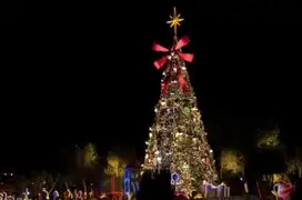 Así es el árbol de Navidad considerado el “más peligroso del mundo”