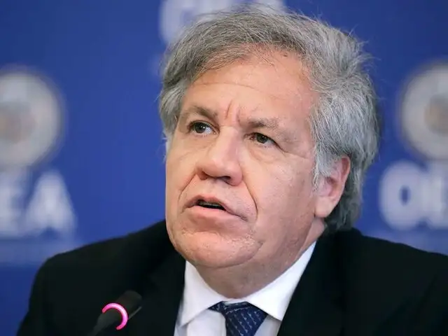Régimen venezolano rechaza a OEA como observador en elecciones 2020