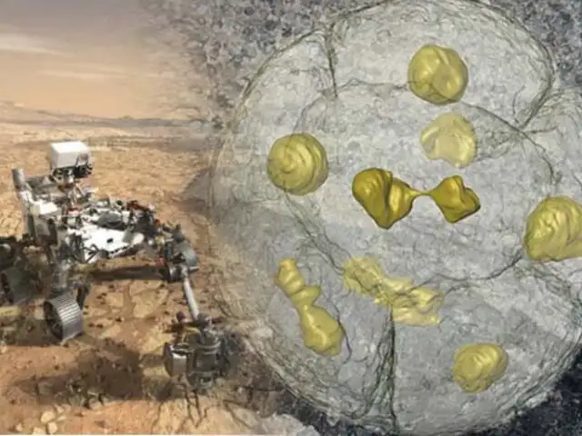 NASA buscará fósiles microscópicos en Marte para el 2021