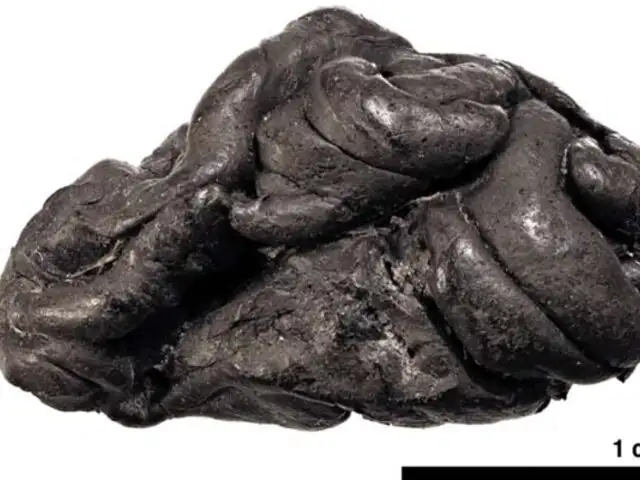 Científicos descubren en un “chicle” de hace 6 mil años, el ADN de la persona que lo mascaba