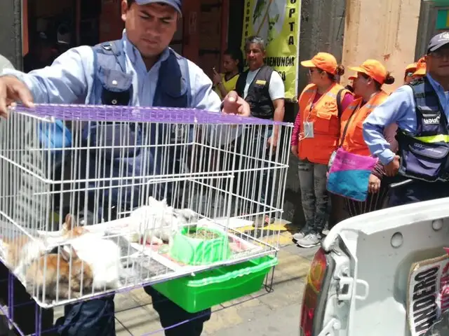 Rescatan a más de 100 animales que iban a ser vendidos en el Mercado Central