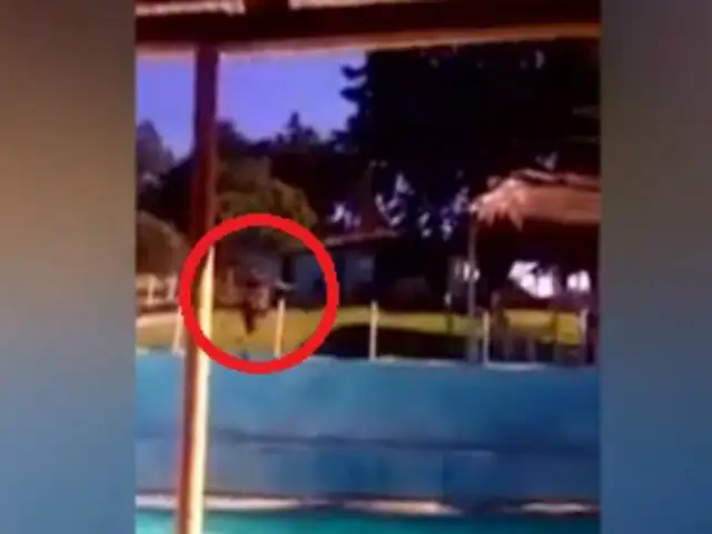 Hombre termina desmayado tras lanzarse a piscina