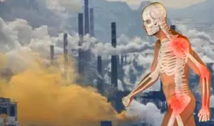 Estudio revela que la contaminación del aire afecta a la calidad de los huesos