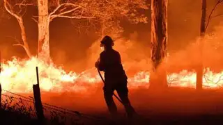Incendios en Australia: famosos se unen para recaudar fondos y mitigar el fuego