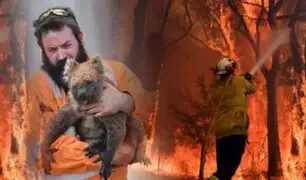 Australia: mil millones de animales mueren por incendios forestales
