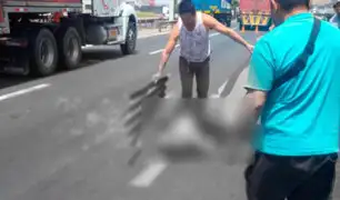 Panamericana Sur: camión atropella y mata a policía de tránsito
