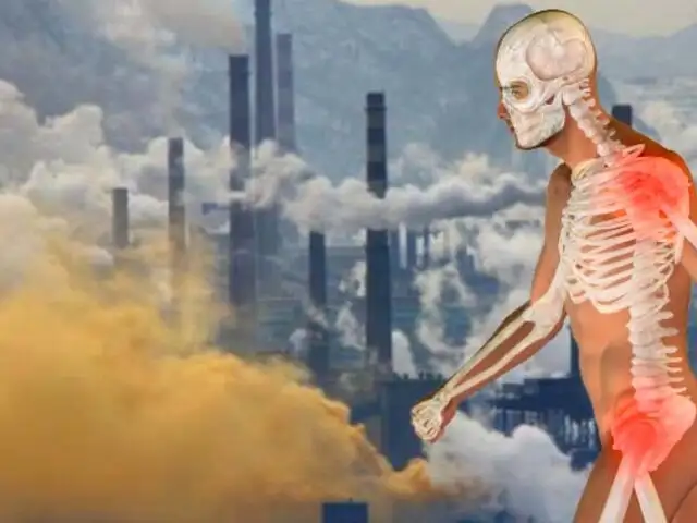 Estudio revela que la contaminación del aire afecta a la calidad de los huesos