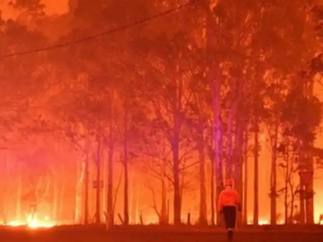 Australia: pronostican lluvias que apagarían incendios forestales