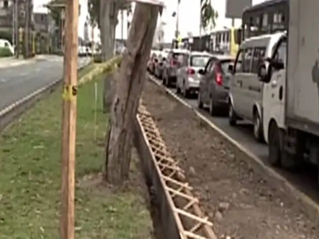 San Isidro: vecinos se quejan por construcción de ciclovía que eliminaría áreas verdes