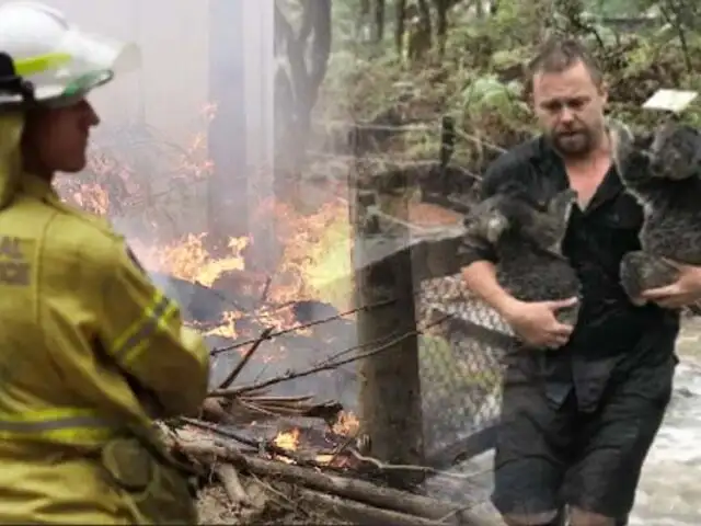 Australia: lluvias generan nuevos riesgos tras incendios