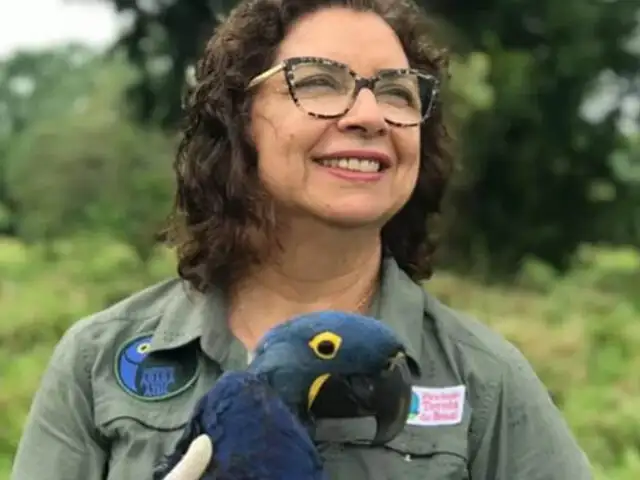 Conoce a Neiva Guedes, la bióloga que salvó al guacamayo azul de la extinción