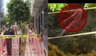 Peligro latente: vecinos de Breña aterrados por cables expuestos en sus jardines