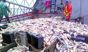 Coronavirus: pesqueras peruanas dejarán de exportar a China
