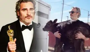Joaquin Phoenix salva una vaca y a su cría del matadero