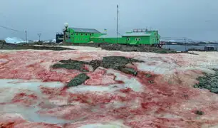 ¿Qué generó presencia de 'nieve de sangre' en la Antártida?