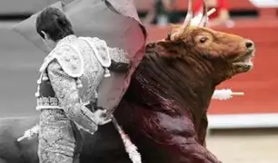 Corridas de Toros en vigencia: ¿tradición o crueldad?