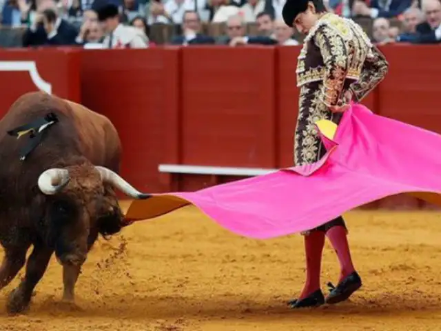 Colombia aprueba proyecto de ley que prohíbe las corridas de toros