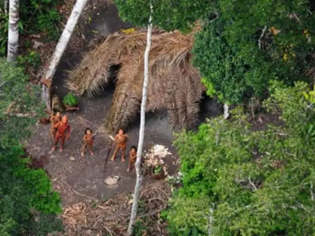 Brasil: advierten en la ONU sobre el creciente riesgo para los indígenas aislados