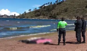 Puno: tres jóvenes mueren ahogados a orillas del lago Titicaca