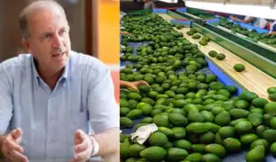 Fernando Cillóniz: Exportaciones agrícolas en riesgo si se amplía cuarentena