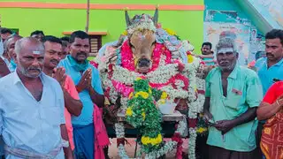 India: pueblo viola cuarentena para asistir al funeral de un toro