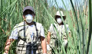 Pantanos de Villa: conoce a los héroes que protegen la vida silvestre en plena cuarentena
