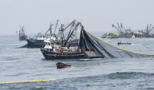 Actividad pesquera: primera temporada de anchoveta iniciará el 13 de mayo