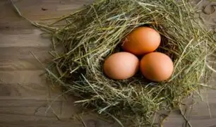 Huevos de gallina podrían frenar avance del COVID-19