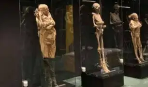 Desaparecen misteriosamente 22 momias de un museo mexicano