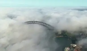 Australia: densa niebla cubrió Sidney en plena pandemia de la COVID-19