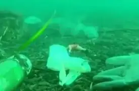 Lecho del mar Mediterráneo contaminado con mascarillas y guantes