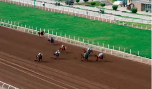 Hipódromo de Monterrico: carreras de caballos serían reiniciadas sin presencia de público