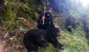 Facebook: denuncian caza ilegal de oso de anteojos en Puno