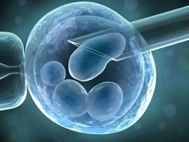 EE.UU: tratamiento con células madre ayudaría en recuperación de pacientes críticos por la COVID-19