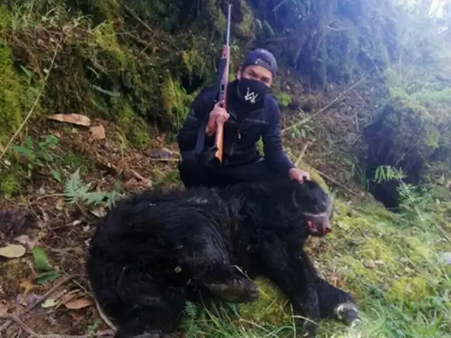 Facebook: denuncian caza ilegal de oso de anteojos en Puno