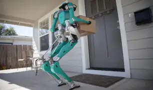 Conozca al robot capaz de realizar compras y mandados