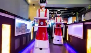 Países Bajos: restaurante incorporó a robots meseros para respetar distanciamiento social